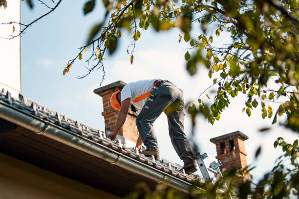 Quick and Trustworthy Emergency Roof Repair Services in Buckhead Ridge, FL