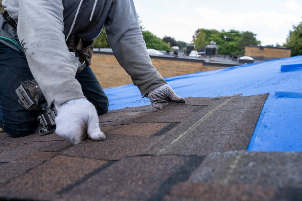 Gutter Installation and Roofing in Buckhead Ridge, FL