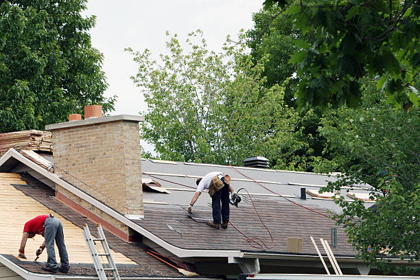 Best Roof Gutter Cleaning  in Buckhead Ridge, FL